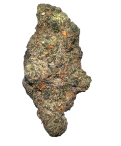 giraffe pussy strain