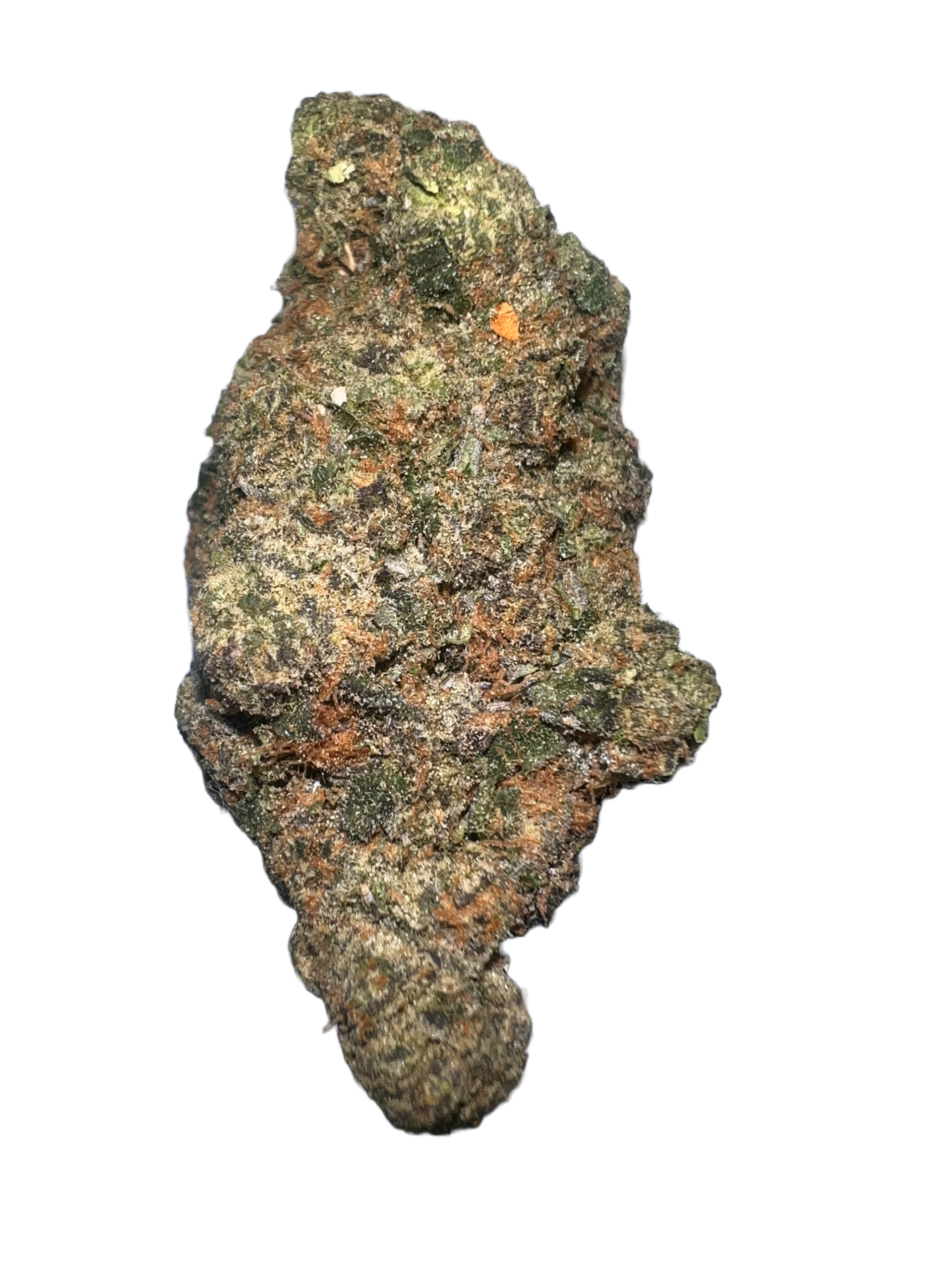 giraffe pussy strain