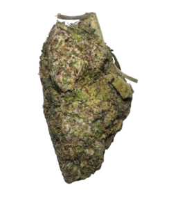 galactic runtz strain