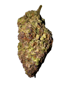 hawaiian rain strain