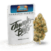 Skywalker OG